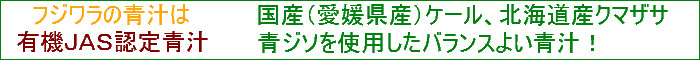 �t�W�����̐`�͗L�@�i�`�r�F��P�[���`