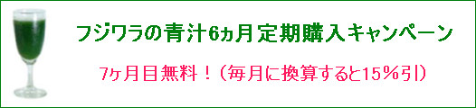 �t�W�����̐`6��������w�������7�����ږ����I�` �T���v���A�P�[�� �`�B