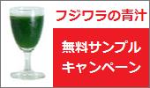 青汁販売, HAKURAIDOU ONLINE SHOP　青汁サンプル