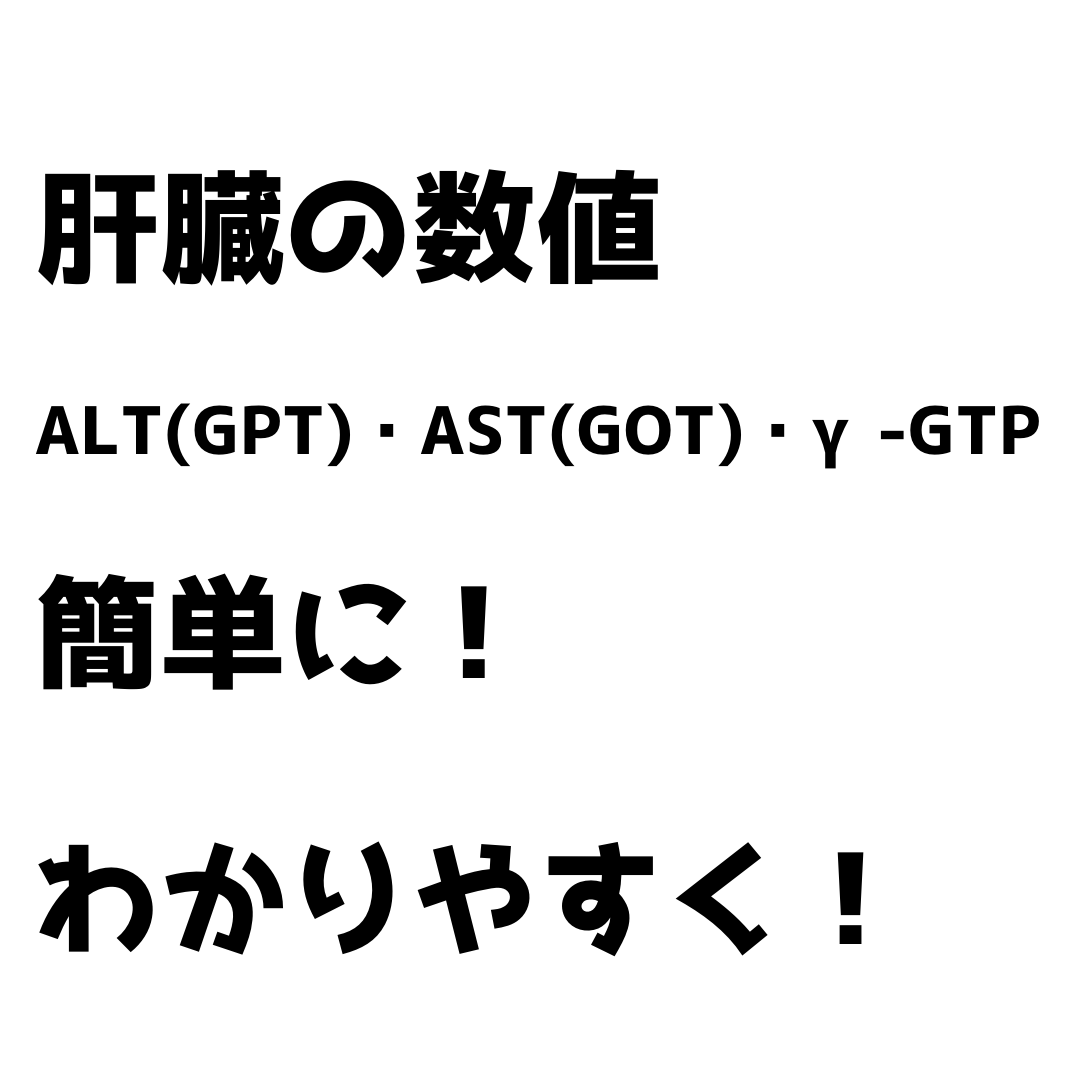 肝臓の数値（ALT(GPT)・AST(GOT)・γ-GTP）について。簡単に！わかりやすく！